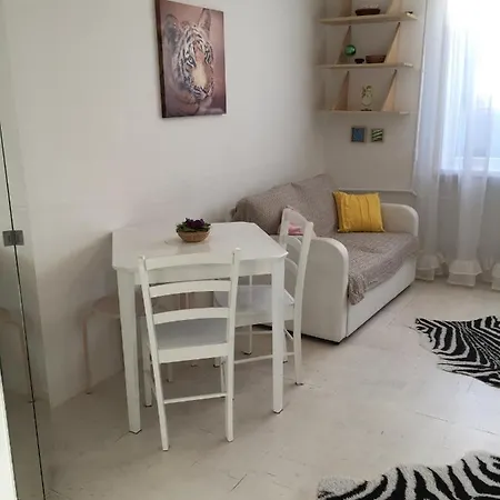 Ohtu Poik 4 Apartement פארנו