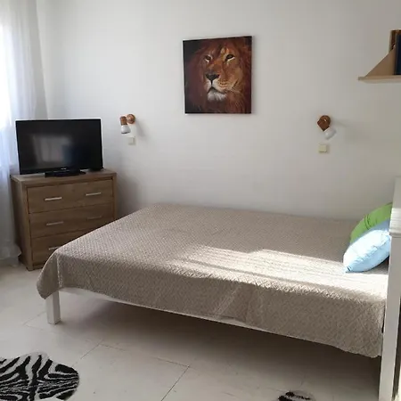 Ohtu Poik 4 Apartement דירה פארנו